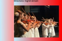 “Gotas de música» Concierto ensemble de cámara (violín, cello y piano)